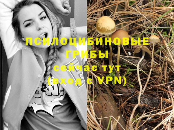 MESCALINE Нефтекумск