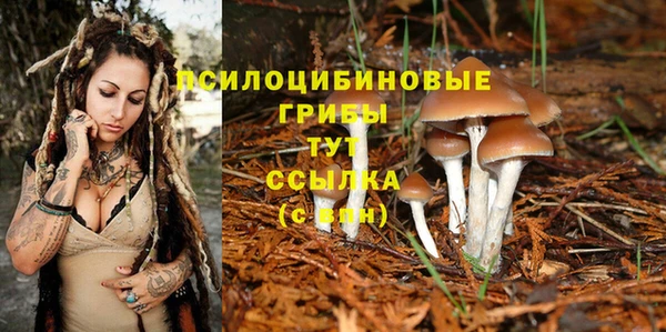 дживик Навашино